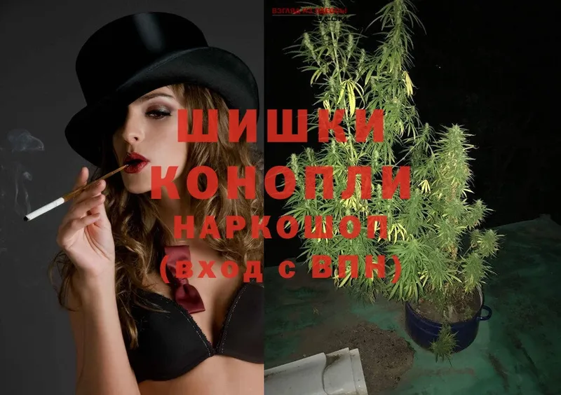 дарк нет как зайти  Трубчевск  Бошки марихуана White Widow  купить закладку 